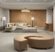 Embassy Suites by Hilton Dulles North Loudoun hotel detail image 3