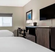 Comfort Inn & Suites Liverpool - Syracuse hotel detail image 3