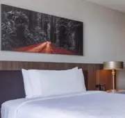 Hilton Garden Inn San Francisco/Oakland Bay Bridge hotel detail image 4