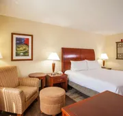 Hilton Garden Inn El Paso / University hotel detail image 3