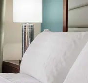 Homewood Suites by Hilton Charleston - Mt Pleasant hotel detail image 4