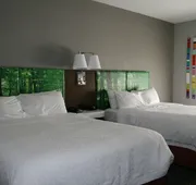 Hampton Inn Clarion hotel detail image 7
