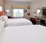 Hampton Inn Fort Stockton hotel detail image 7