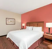 Hampton Inn by Hilton Branson on the Strip hotel detail image 4