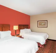 Hampton Inn by Hilton Branson on the Strip hotel detail image 5