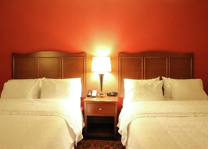 Hampton Inn Columbus-South hotel detail image 6