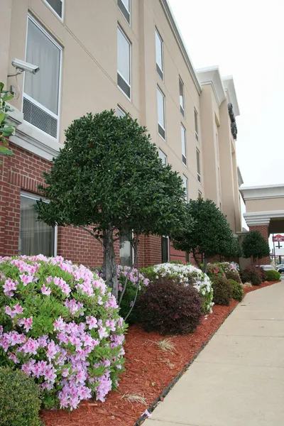 Hampton Inn Shreveport Airport hotel detail image 6