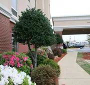 Hampton Inn Shreveport Airport hotel detail image 7