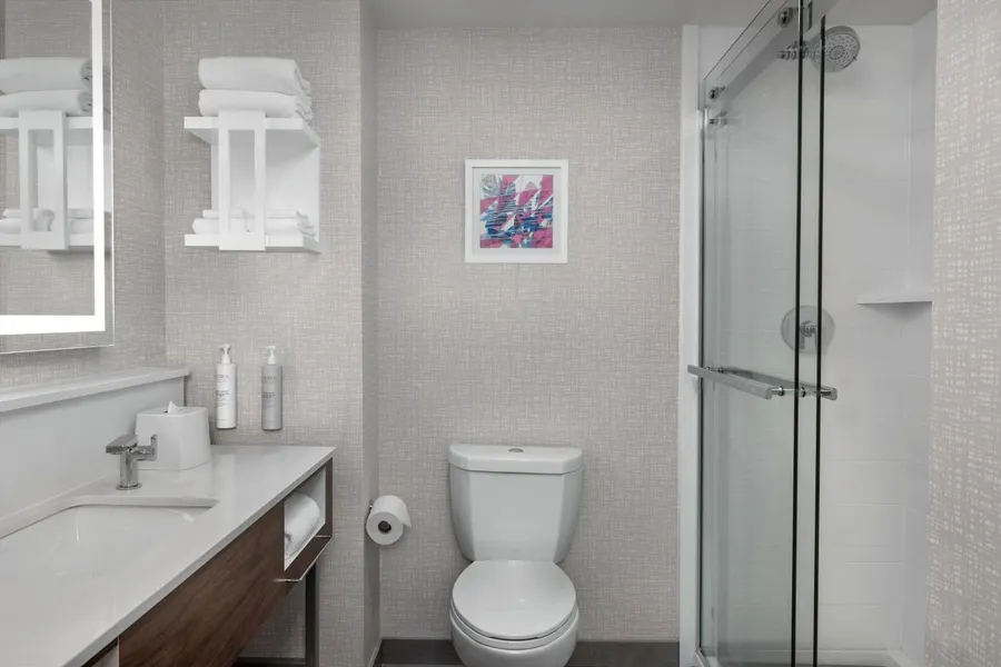 Hampton Inn Birmingham I-65/Lakeshore Drive hotel detail image 6