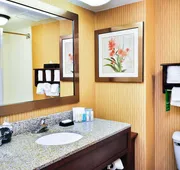 Hampton Inn Carrollton hotel detail image 7
