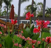 Marina Beach Hotel hotel detail image 4