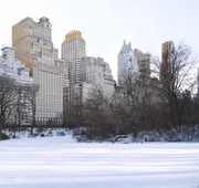 The Ritz-Carlton New York, Central Park hotel detail image 4