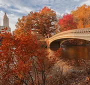 The Ritz-Carlton New York, Central Park hotel detail image 5