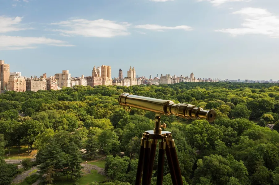 The Ritz-Carlton New York, Central Park hotel detail image 6