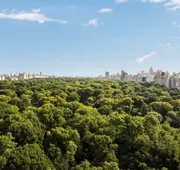 The Ritz-Carlton New York, Central Park hotel detail image 7