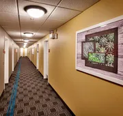 Towneplace Suites by Marriott Sierra Vista hotel detail image 5