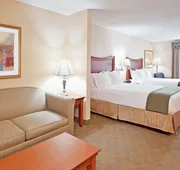 Holiday Inn Express Hotel & Suites Auburn Hills by IHG hotel detail image 7