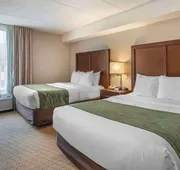 Comfort Inn Shady Grove - Gaithersburg - Rockville hotel detail image 7