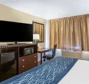 Comfort Inn Grand Rapids Airport hotel detail image 7