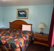 Travel Inn of Daytona hotel detail image 7