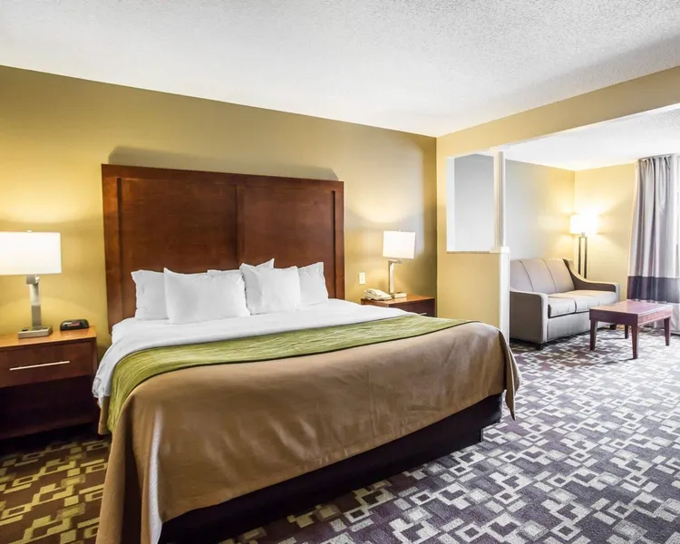 Comfort Inn & Suites Walterboro I-95 hotel detail image 6