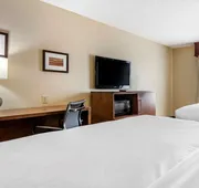 Comfort Inn & Suites Statesboro - University Area hotel detail image 7