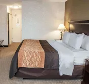 Quality Inn Seekonk - Providence hotel detail image 7