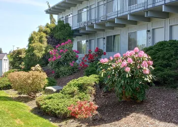 Cocusa Motel hotel thumbnail 8