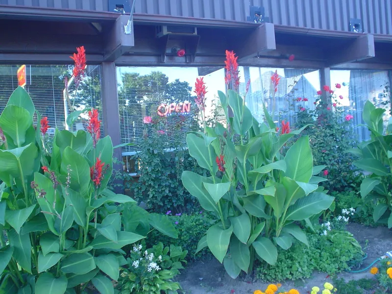 Advance Inn hotel detail image 2
