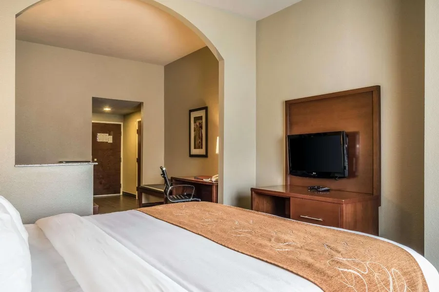 Comfort Suites Near Texas State University hotel detail image 2