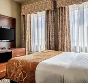 Comfort Suites Near Texas State University hotel detail image 3