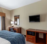 Comfort Inn & Suites Carbondale University Area hotel detail image 4