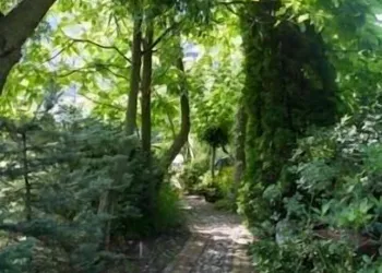 Genelle House B&B Guest House hotel thumbnail 4