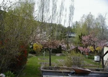 Genelle House B&B Guest House hotel thumbnail 7