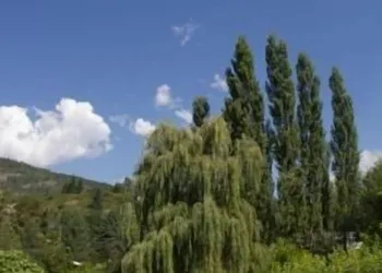 Genelle House B&B Guest House hotel thumbnail 8