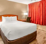 Econo Lodge Inn & Suites Durango hotel detail image 7