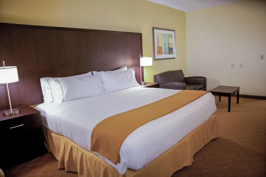 Holiday Inn Express & Suites Houston North Intercontinental by IHG hotel detail image 6