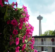 Fairway Inn by the Falls hotel detail image 5