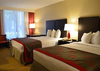 Collins Hotel Naples hotel thumbnail 4
