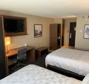 Holiday Inn & Suites Chicago-Carol Stream (Wheaton) by IHG hotel detail image 7