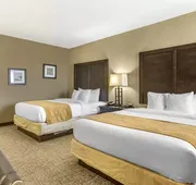 Comfort Inn & Suites hotel detail image 7