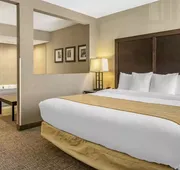 Comfort Inn & Suites hotel detail image 7