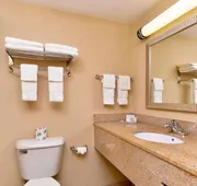 Executive Inn & Suites hotel detail image 4