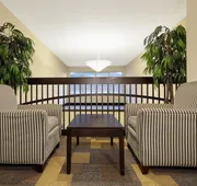 Holiday Inn Express & Suites Pekin (Peoria Area) by IHG hotel detail image 3