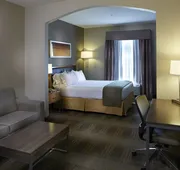 Holiday Inn Express & Suites Orangeburg by IHG hotel detail image 3