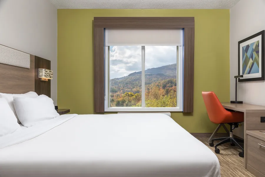 Holiday Inn Express Hotel & Suites Chattanooga-Lookout Mtn by IHG hotel detail image 6