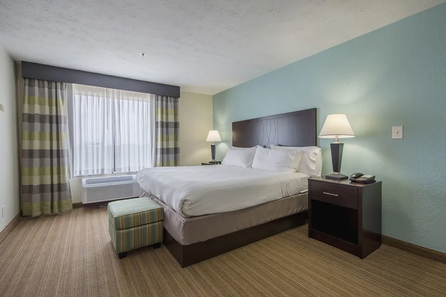 Holiday Inn Express Dandridge by IHG hotel detail image 6