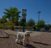 Holiday Inn Express Las Vegas-Nellis by IHG hotel detail image 5