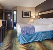 Best Western O'Hare/Elk Grove Hotel hotel detail image 7
