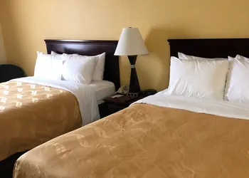 Quality Inn and Suites Kingston hotel thumbnail 7